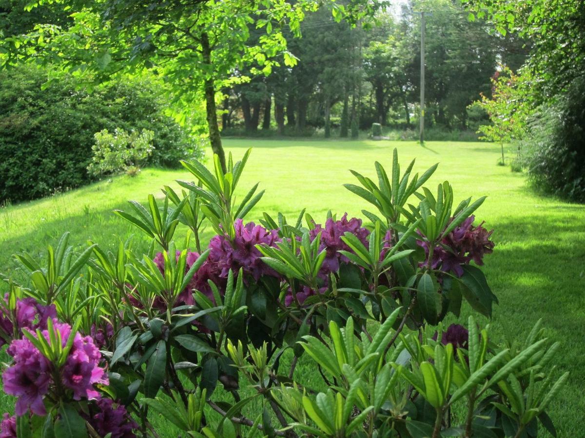 Hope Cottage Modbury Екстериор снимка